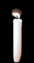 gyertya